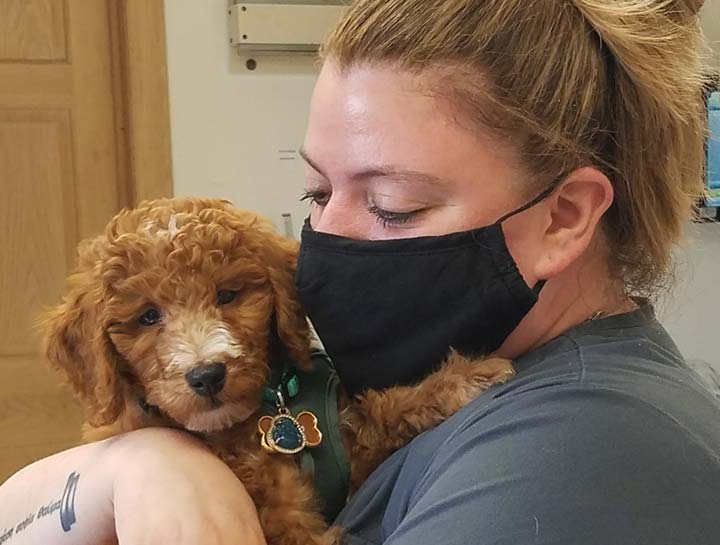 Ashburn Veterinary Surgeries