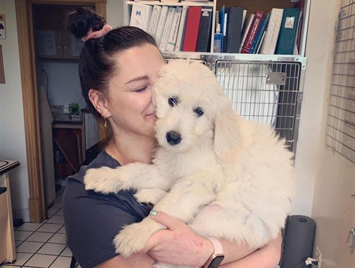 Emergency Veterinary Care